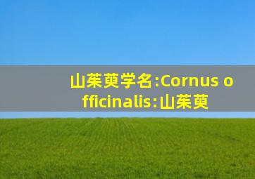 山茱萸学名:Cornus officinalis:山茱萸